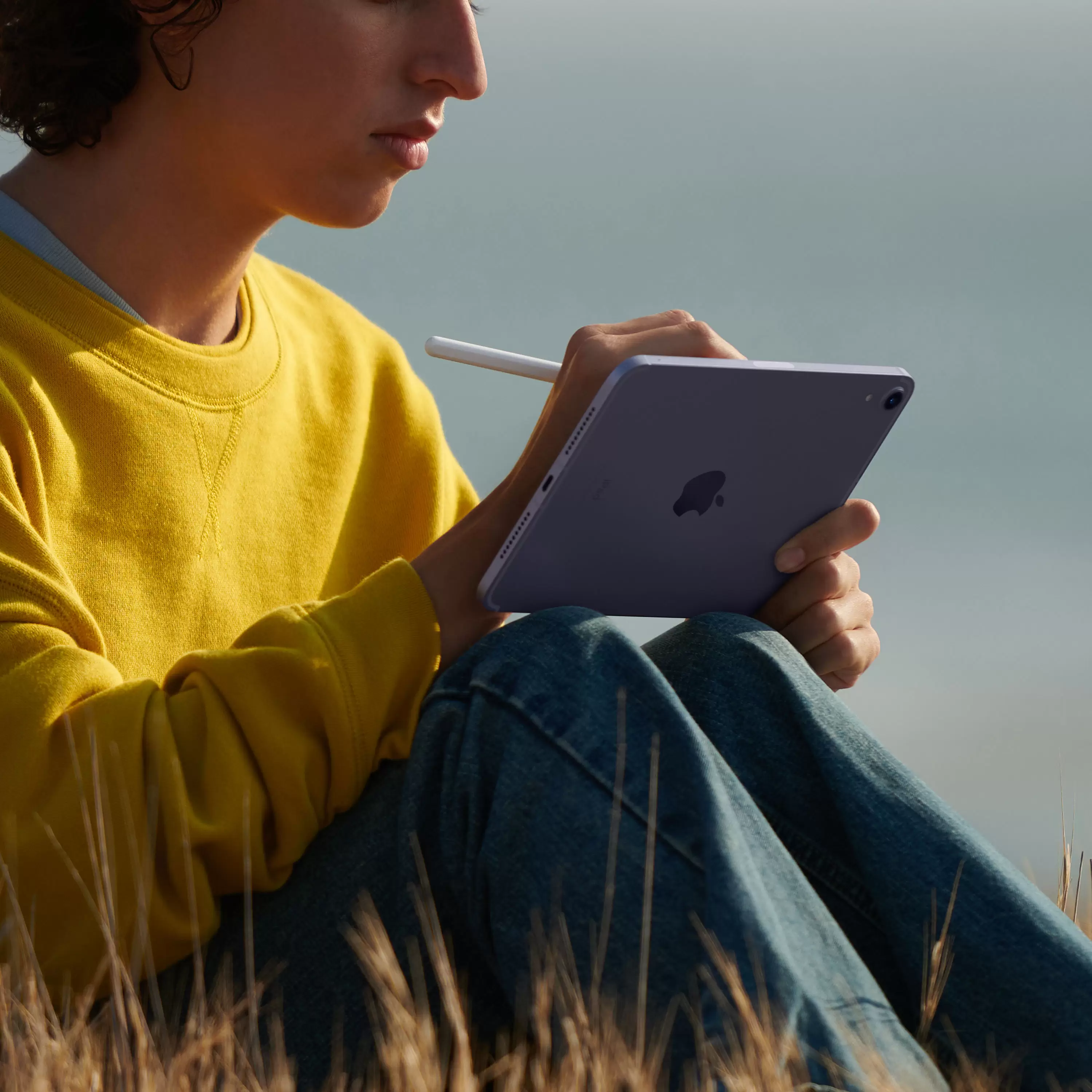 Apple iPad mini (2021) Wi-Fi + Cellular 64GB (фиолетовый)